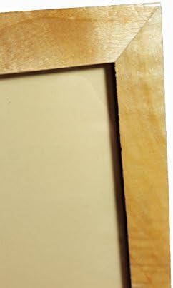 מ.מ. מסחר LNT12ER או צבעוני סינית/יפנית פנסי נייר עגולים עם מסגרת מתכת, 12 אינץ ', כתום